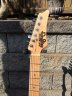 redwood strat 6.jpg - 